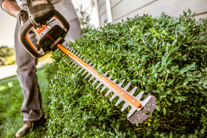 Stihl hsa top 45 for sale